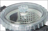 Intex zandfilterpomp voorfilter