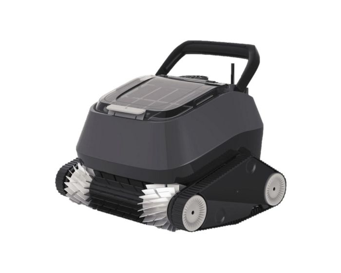 Interline Walking Catfish (automatisch)