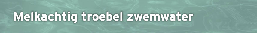 Advies groen zwembadwater