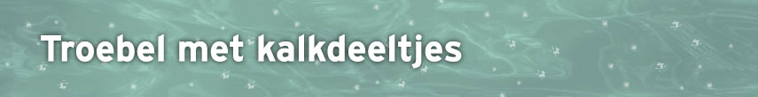 Advies groen zwembadwater
